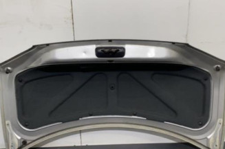 Malle/Hayon arriere PEUGEOT 406