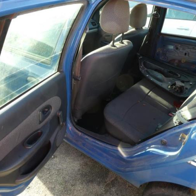 Porte arriere gauche RENAULT CLIO 2 Photo n°7