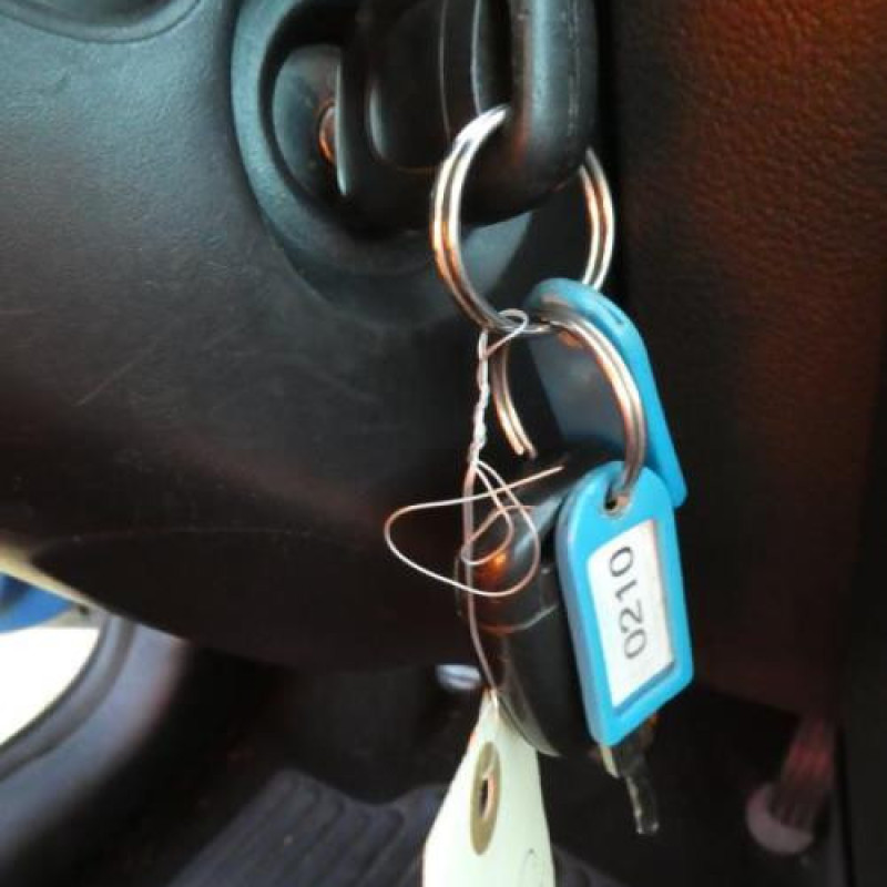 Porte arriere gauche RENAULT CLIO 2 Photo n°14