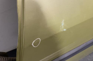 Porte arriere gauche RENAULT MEGANE 2