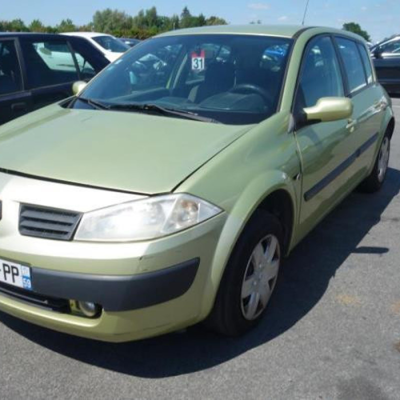 Porte arriere gauche RENAULT MEGANE 2 Photo n°4