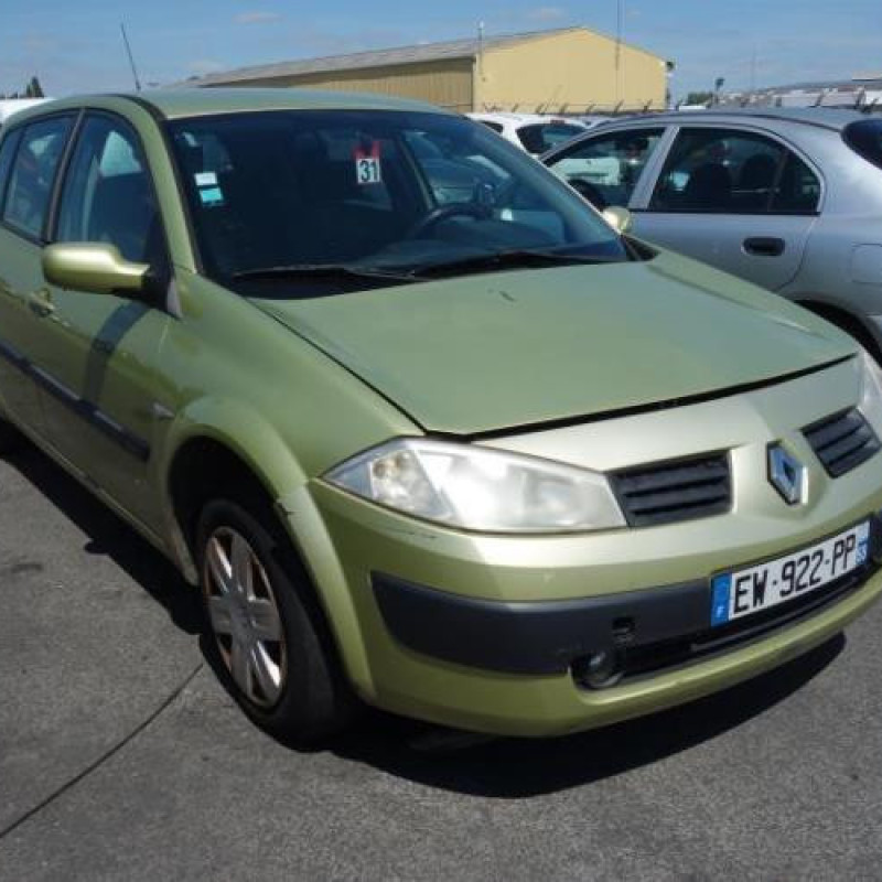 Porte arriere gauche RENAULT MEGANE 2 Photo n°5