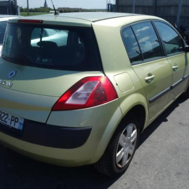 Porte arriere gauche RENAULT MEGANE 2 Photo n°6