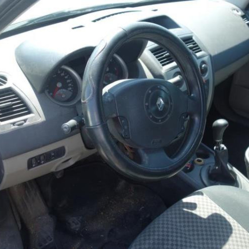 Porte arriere gauche RENAULT MEGANE 2 Photo n°8