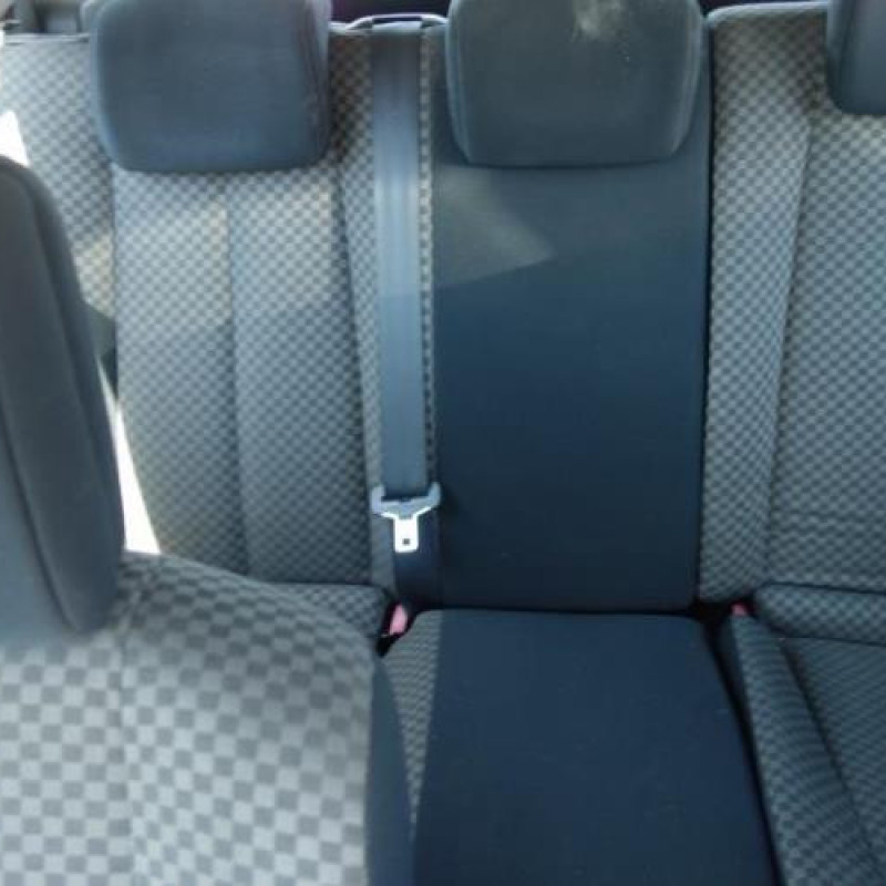 Porte arriere gauche RENAULT MEGANE 2 Photo n°10