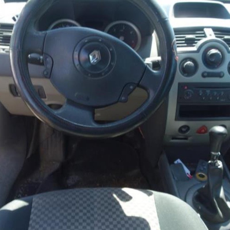 Porte arriere gauche RENAULT MEGANE 2 Photo n°11