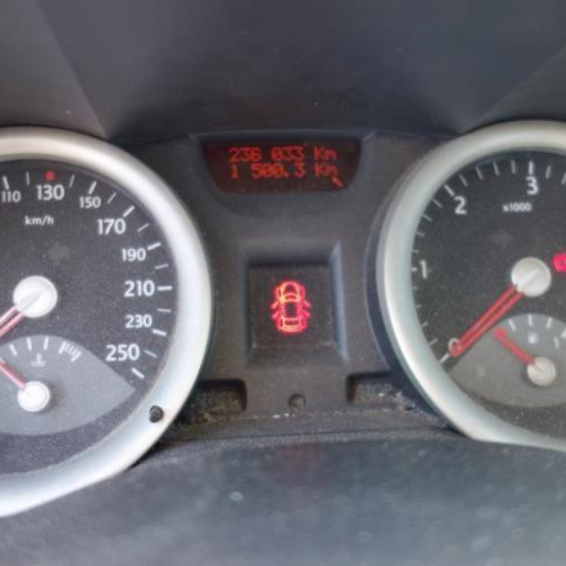 Porte arriere gauche RENAULT MEGANE 2 Photo n°12
