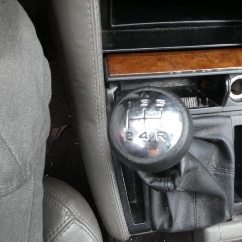 Porte avant droit RENAULT SAFRANE Photo n°10