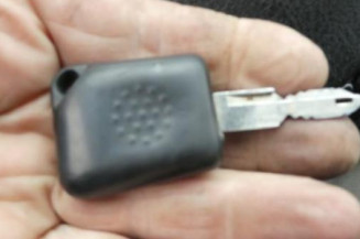 Porte avant droit RENAULT SAFRANE