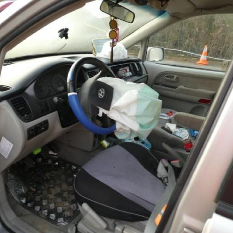 Porte arriere droit HYUNDAI TRAJET Photo n°7