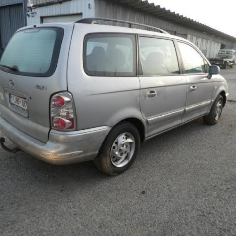 Porte avant droit HYUNDAI TRAJET Photo n°5