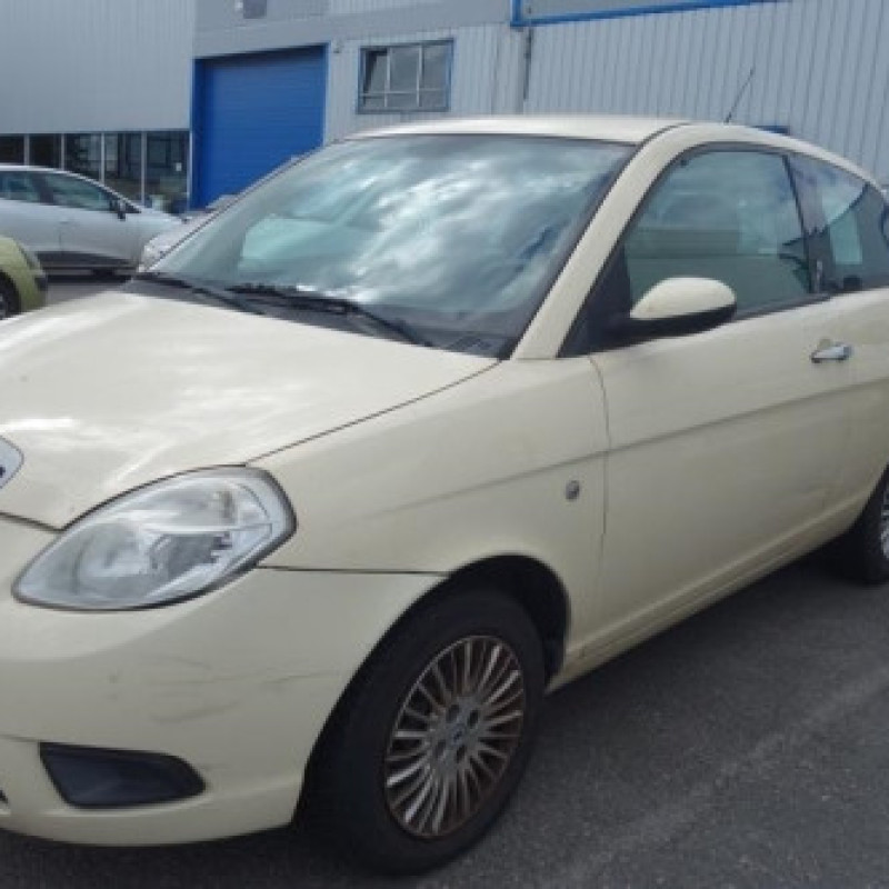 Porte avant gauche LANCIA YPSILON 4 Photo n°5