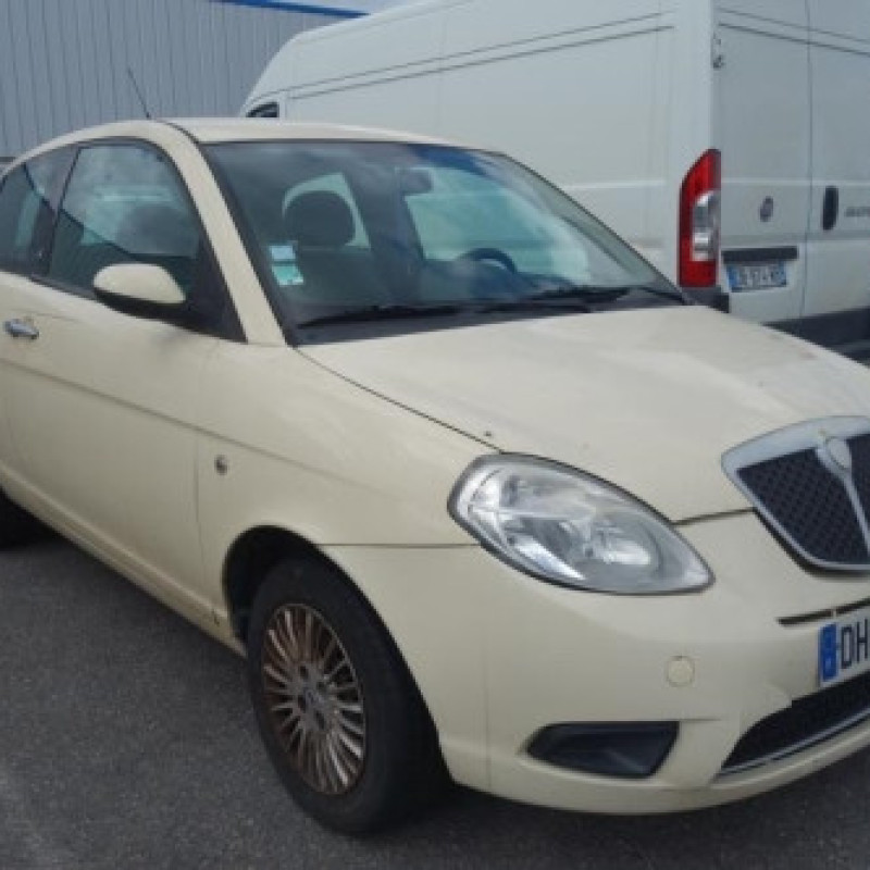 Porte avant gauche LANCIA YPSILON 4 Photo n°6