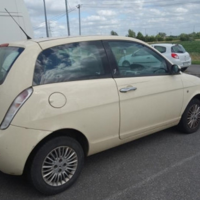 Porte avant gauche LANCIA YPSILON 4 Photo n°7