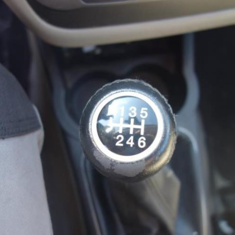 Porte avant gauche FIAT GRANDE PUNTO Photo n°11