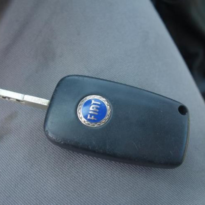 Porte avant gauche FIAT GRANDE PUNTO Photo n°12
