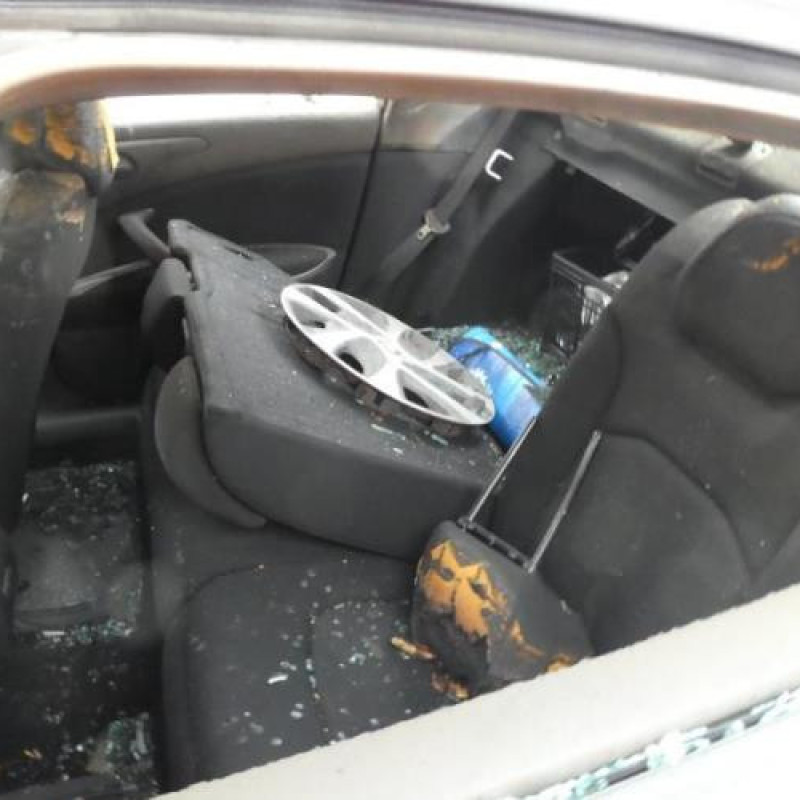 Porte arriere gauche CITROEN C5 2 Photo n°8