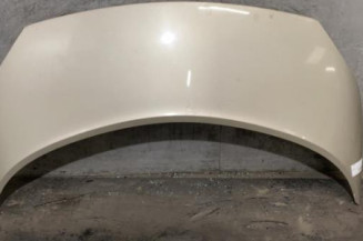Capot RENAULT SCENIC 2 Photo n°1