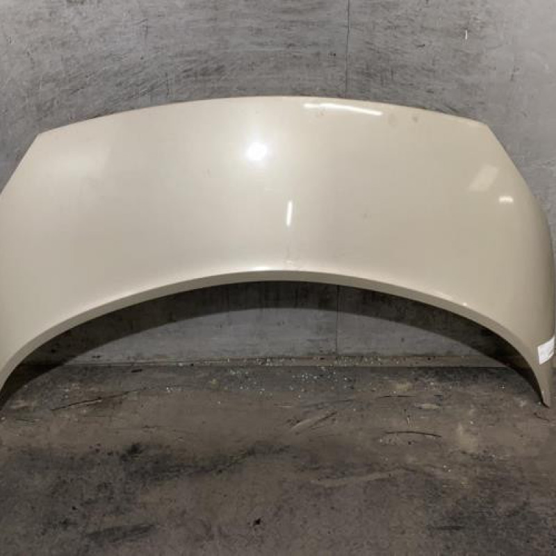 Capot RENAULT SCENIC 2 Photo n°1