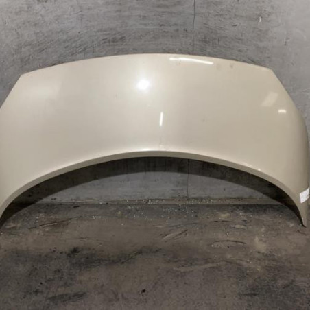 Capot RENAULT SCENIC 2 Photo n°1