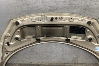 Capot RENAULT SCENIC 2