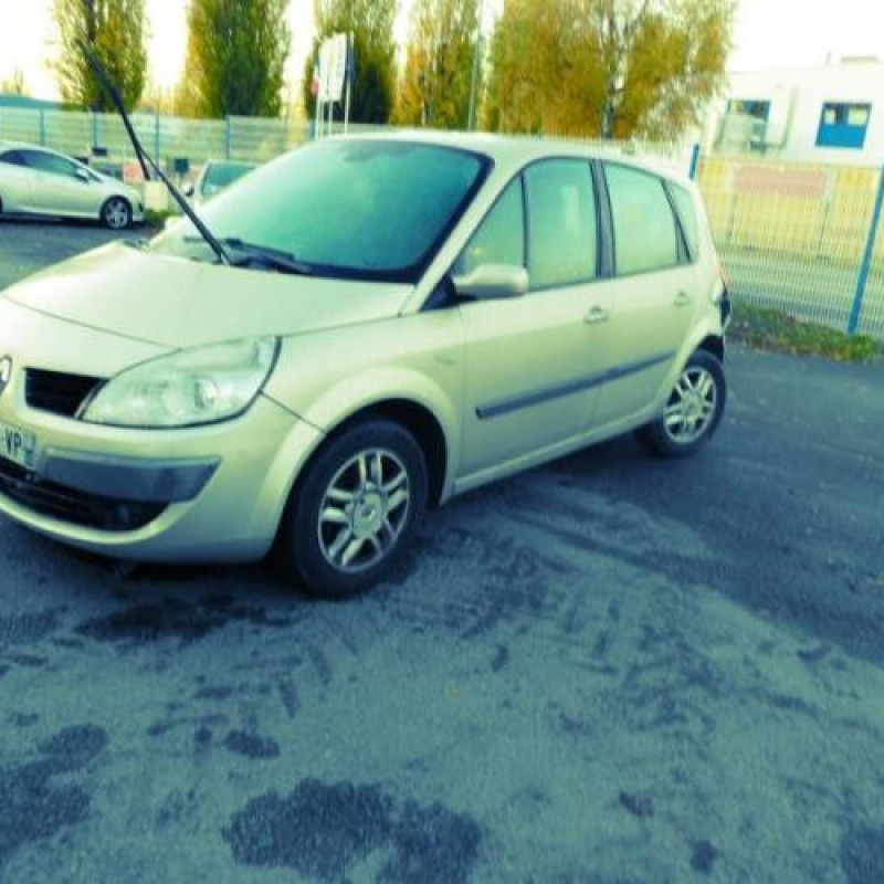 Capot RENAULT SCENIC 2 Photo n°3