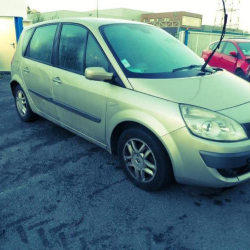Capot RENAULT SCENIC 2 Photo n°4