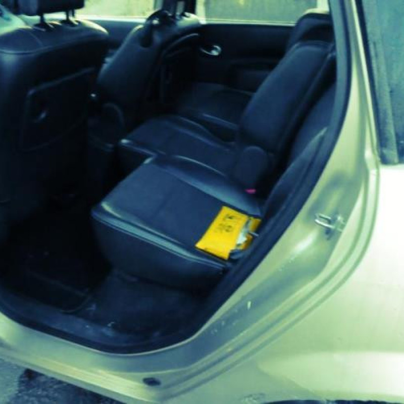 Capot RENAULT SCENIC 2 Photo n°8