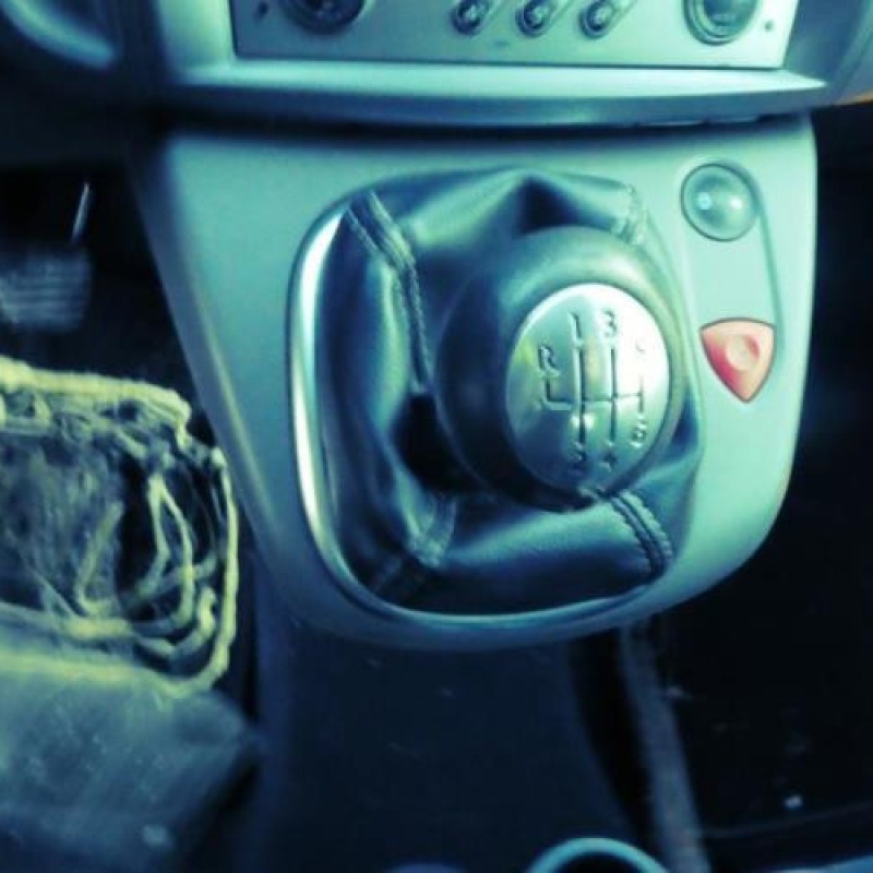 Capot RENAULT SCENIC 2 Photo n°10