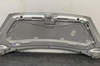 Capot PEUGEOT 1007