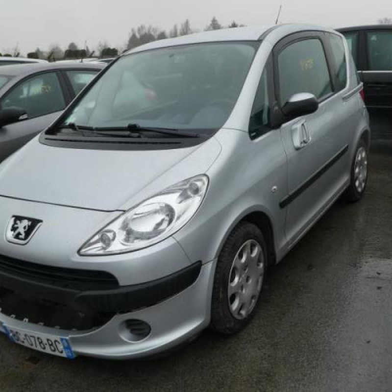 Capot PEUGEOT 1007 Photo n°4