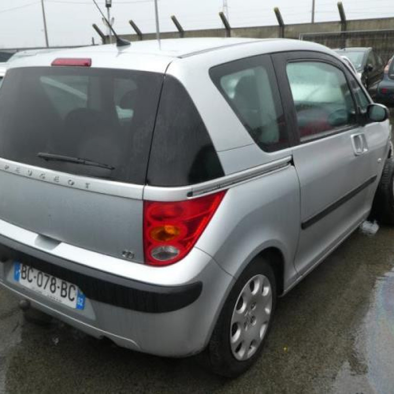 Capot PEUGEOT 1007 Photo n°6