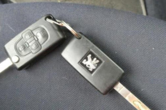 Capot PEUGEOT 1007