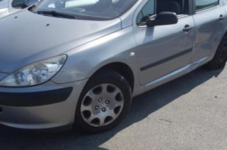 Moto ventilateur radiateur PEUGEOT 307