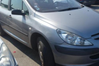 Moto ventilateur radiateur PEUGEOT 307