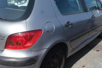 Moto ventilateur radiateur PEUGEOT 307