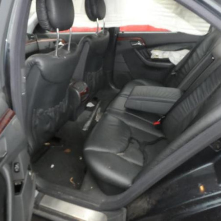 Custode arriere gauche (porte) MERCEDES CLASSE S 220