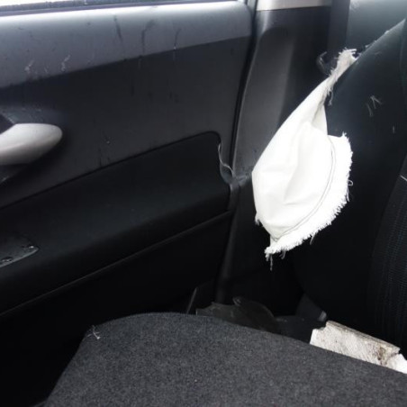 Custode arriere droit (porte) TOYOTA AURIS 1 Photo n°4