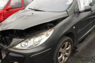 Malle/Hayon arriere PEUGEOT 307