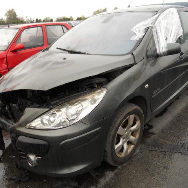 Malle/Hayon arriere PEUGEOT 307 Photo n°3