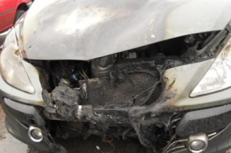 Malle/Hayon arriere PEUGEOT 307