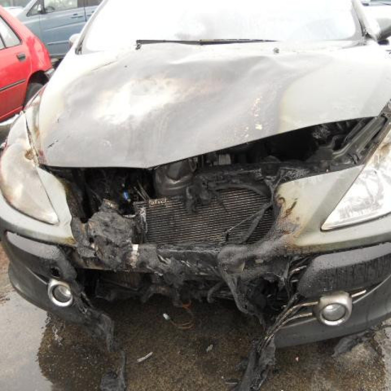 Malle/Hayon arriere PEUGEOT 307 Photo n°4