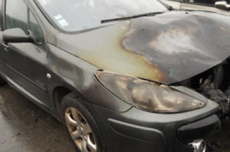 Malle/Hayon arriere PEUGEOT 307