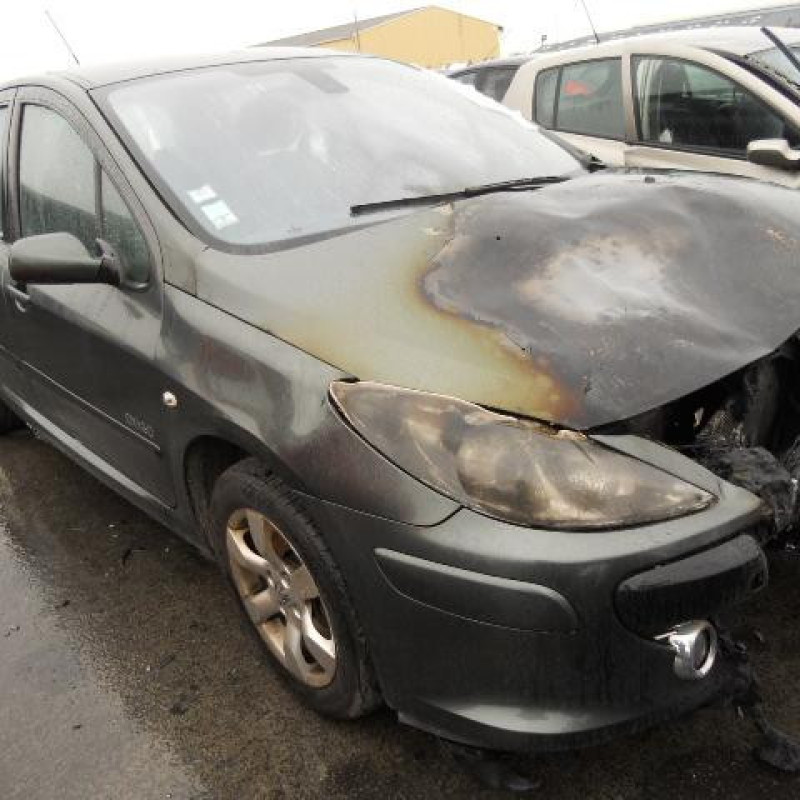 Malle/Hayon arriere PEUGEOT 307 Photo n°5