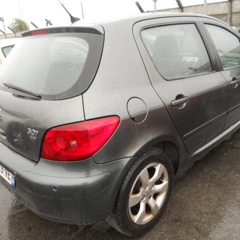 Malle/Hayon arriere PEUGEOT 307 Photo n°6