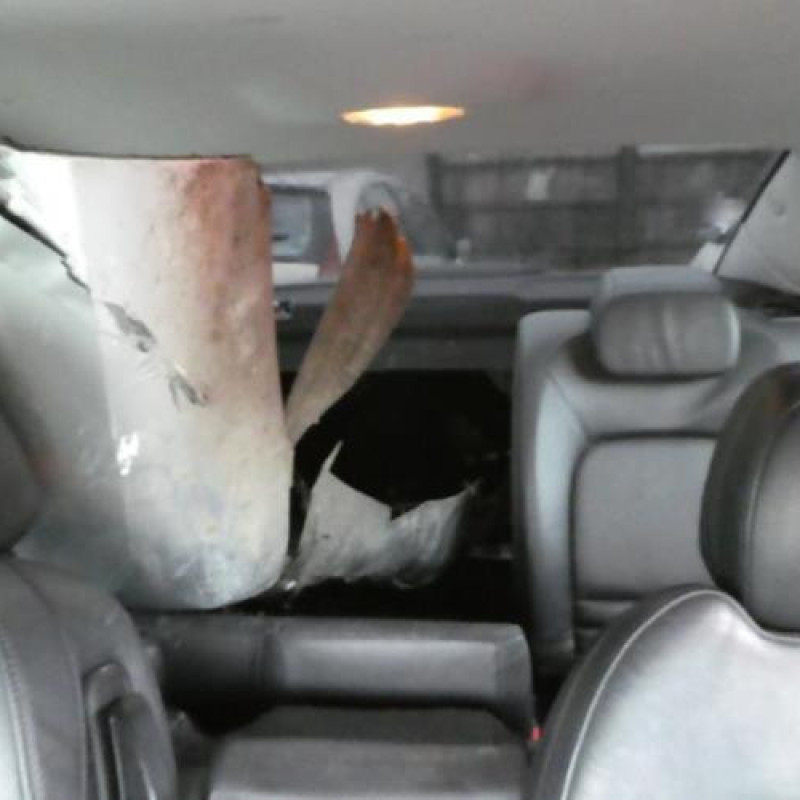 Renfort pare choc avant (traverse) PEUGEOT 407 Photo n°8
