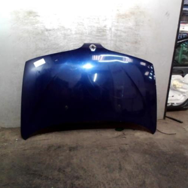 Capot RENAULT SCENIC 1 Photo n°1