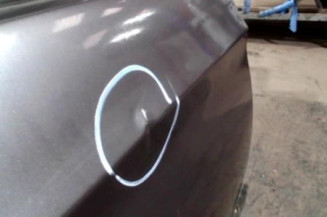 Porte arriere droit BMW SERIE 3 E90