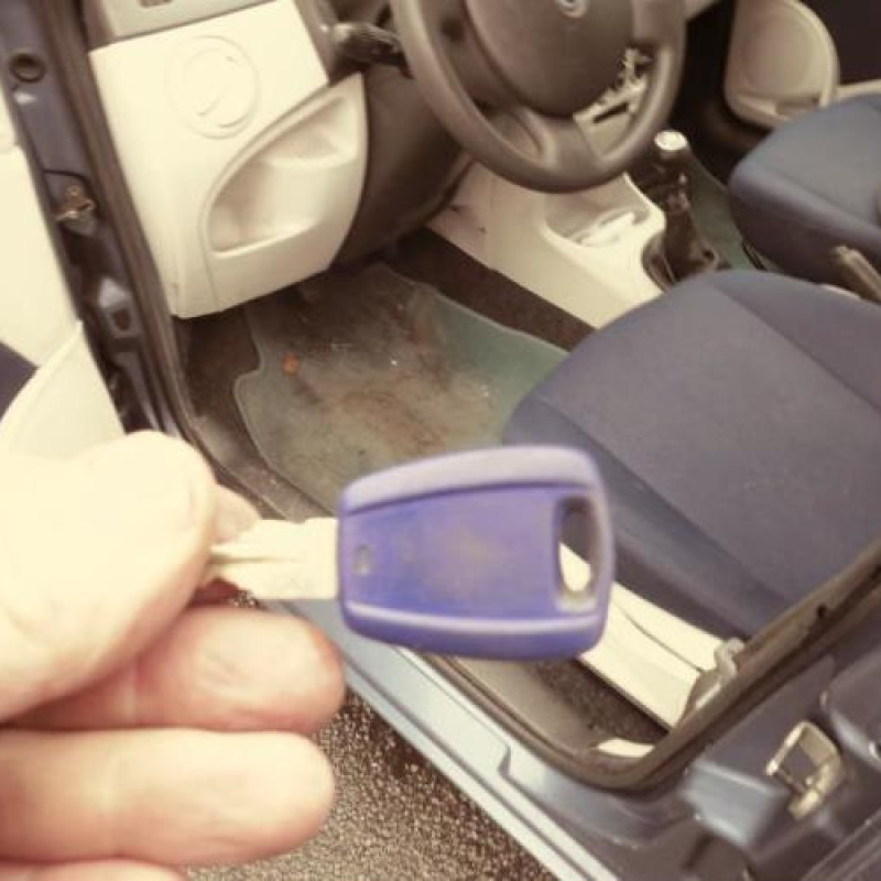 Porte arriere gauche FIAT PUNTO 2 Photo n°12