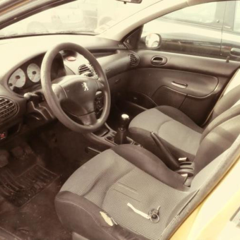 Porte arriere droit PEUGEOT 206 Photo n°7